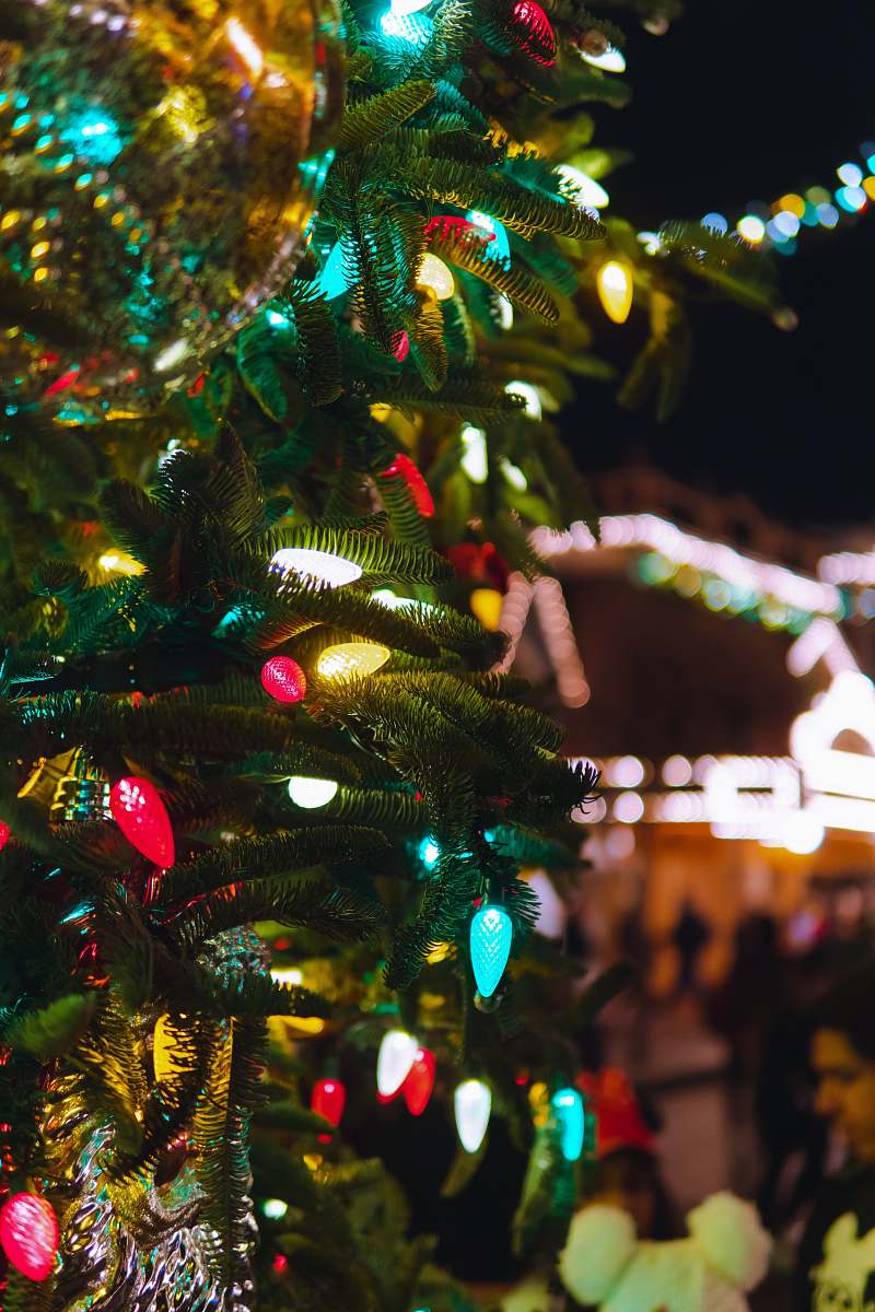 ornament green christmas tree with string lights plant